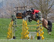 Bonomelli Castigo TosTour2013- S5 2671 : Arezzo, Arezzo Equestrian Centre, Bonomelli Omar, Castigo della Caccia, Toscana Tour 2013, foto di Stefano Secchi ©